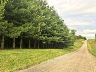 Property photo 21 - LAND AUCTION - 1,050+/- ACRES OFFERED IN 21 TRACTS PLUS 450+/- ACRE HUNTING LEASE IN MUSKINGUM COUNTY, OHIO